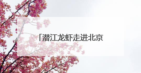 潜江龙虾走进北京，100000只虾席卷大厂餐桌